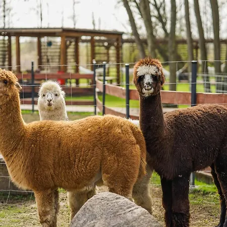 Comfortable Apartment, Summer Pool דירה נישורזה