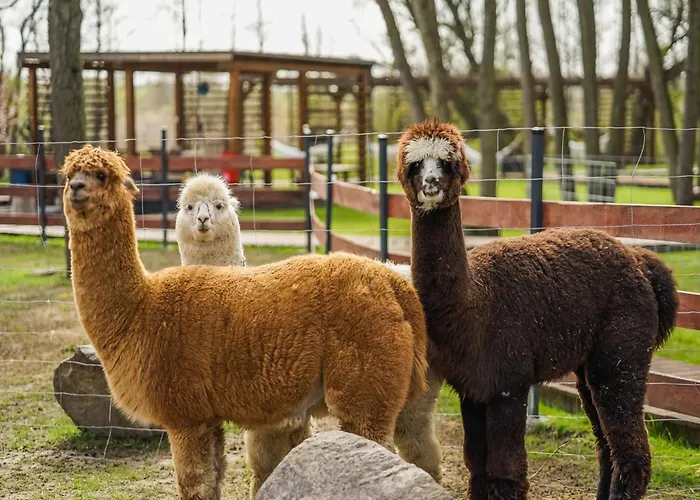 Comfortable Apartment, Summer Pool Apartman Niechorze